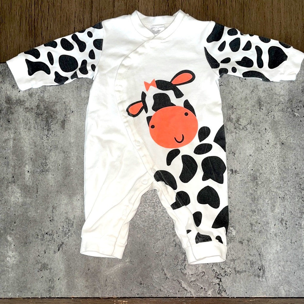 Cute Onesie, good to use as a light jacket onesie.